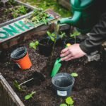 person holding green plastic shovel